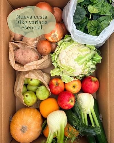 Cesta de Verduras Ecológicas (Variada)